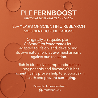 MatteLuxe™, Setting Pressed Powder